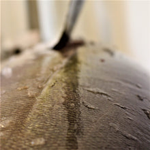 Load image into Gallery viewer, Fresh Sushi Grade Yellowfin Tuna

