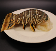 Load image into Gallery viewer, Fresh Florida Lobster Tail Box
