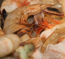 Load image into Gallery viewer, Fresh Jumbo Shrimp - Previously Frozen (Quantity in lbs.)
